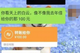 睢县如何避免债务纠纷？专业追讨公司教您应对之策